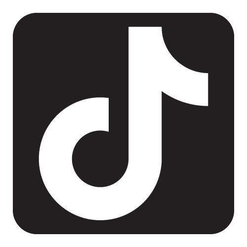 TikTok icon
